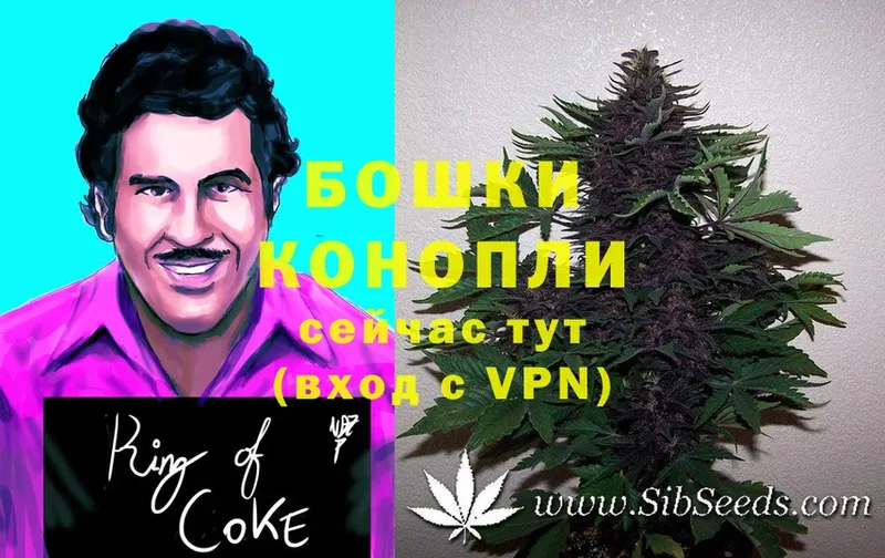 купить   Чебаркуль  Марихуана OG Kush 